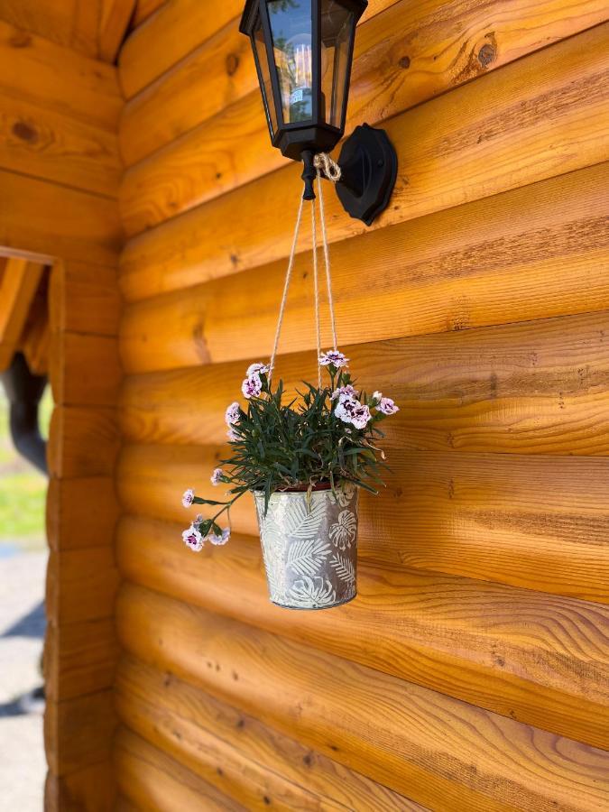 Brvnare Madera Banja Zdrelo Villa Eksteriør billede